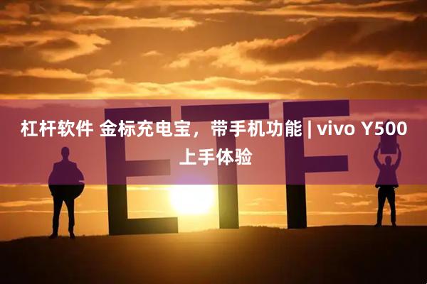 杠杆软件 金标充电宝，带手机功能 | vivo Y500 上手体验