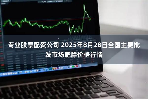 专业股票配资公司 2025年8月28日全国主要批发市场肥膘价格行情