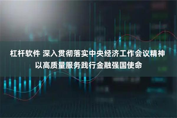 杠杆软件 深入贯彻落实中央经济工作会议精神 以高质量服务践行金融强国使命