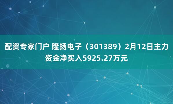 配资专家门户 隆扬电子（301389）2月12日主力资金净买入5925.27万元